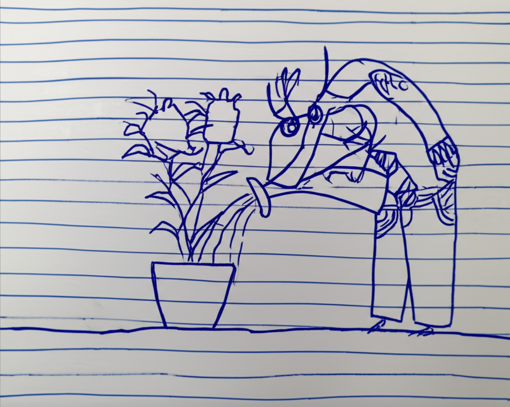 Water a potted plant.